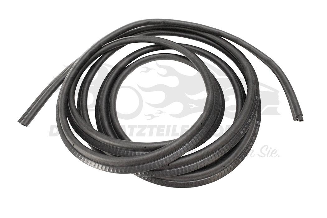 Ущільнювач дверей зад Renault Master 3 2010-, фото 1