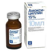 Амоксициллин ЛА 15% (Amоxicillin LA 15%) 10 мл - Invesa - фото 1 - id-p740623350