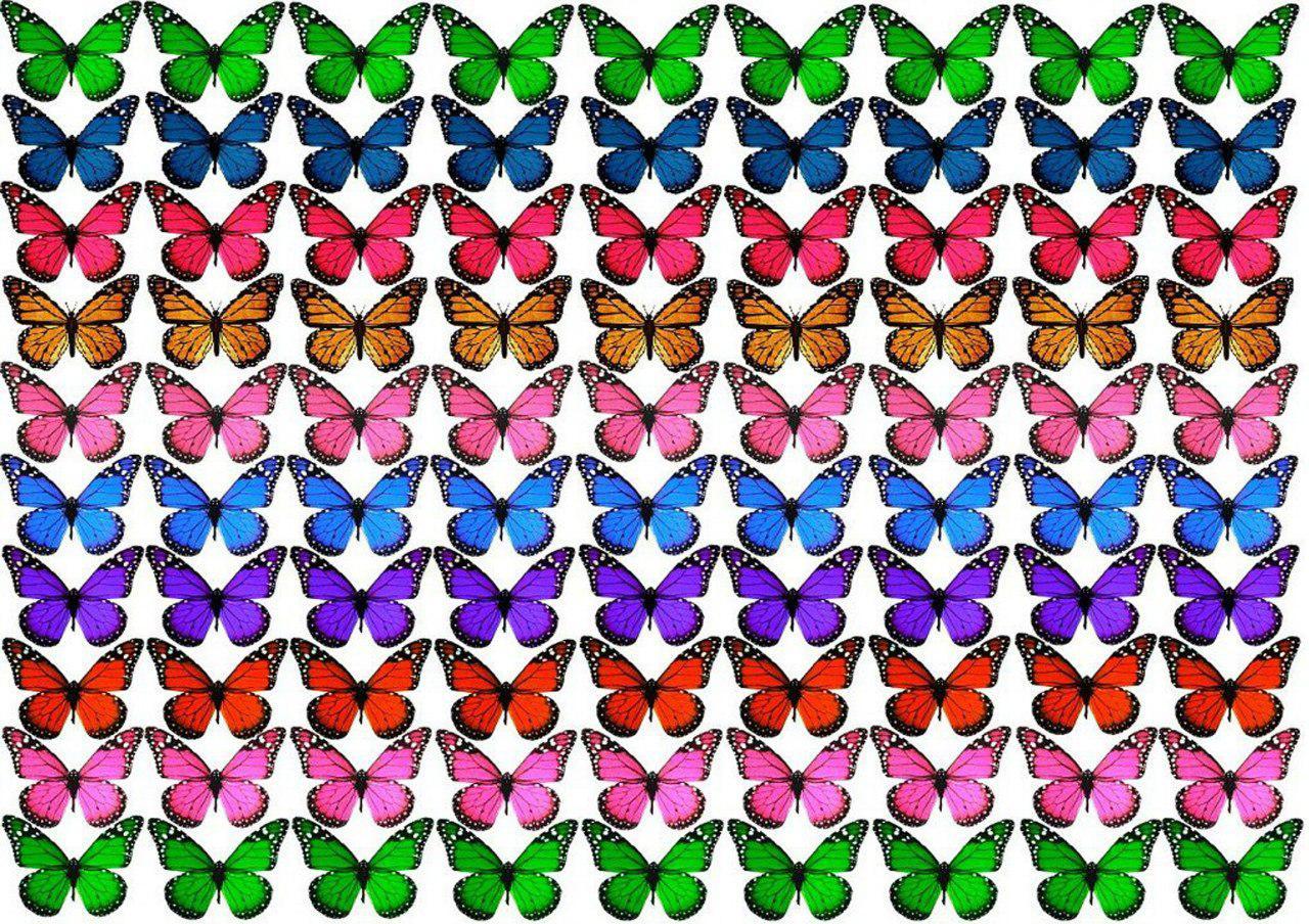 Цукрова картинка метелика, для торта, фото 1