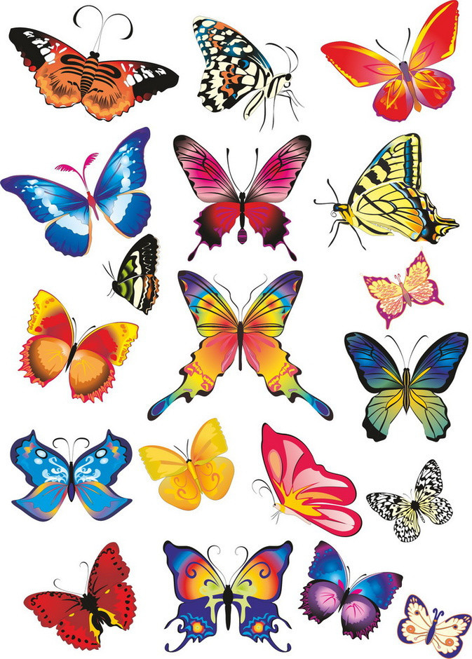 Цукрова картинка метелика, для торта, фото 1