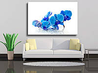 Картина на холсте "Синяя орхидея с отражением в воде на белом фоне"