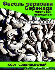Насіння Фасоль зернова Серенада/1 кг