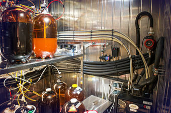 Drunken Monkey, г. Киев, 2018 9