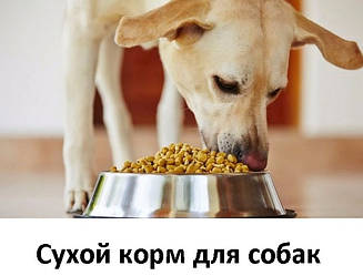 Сухий корм для дорослих собак