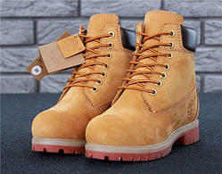 Черевики жіночі Timberland 30937 світло-коричневі