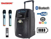 Портативная колонка на аккумуляторе SL12-01 с радиомикрофонами / 160W (USB/Bluetooth)