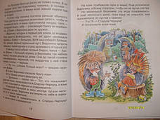Жили-були Їжачки Андрій Усачов, фото 2