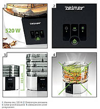 Сушарка для овочів та фруктів ZELMER FD1001, фото 2