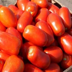 КЛАСИК F1 / CLASSIC F1, 10 насінин — томат детермінантний сливовидный, Nunhems