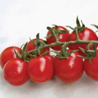 СomА F1/SOMA F1, 10 насіння — томат-чері детермінантний, Nunhems