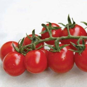 СomА F1/SOMA F1, 10 насіння — томат-чері детермінантний, Nunhems, фото 1