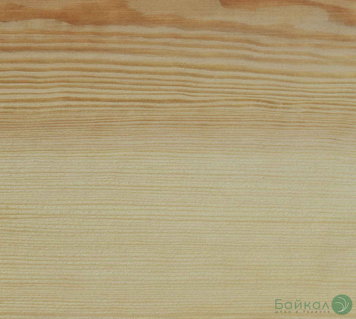 Шпон Сосни з деревини - 2,5 мм довжина від 0,80 - 2,05 м / ширина від 10 см (I ґатунок)