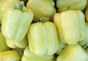 БЛОНДІ F1 / BLONDY F1, 8 насінин — перець солодкий, Syngenta, фото 2