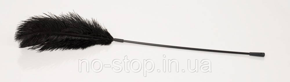 Пір'їнка - 2490412 Feder, black, фото 1