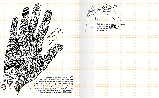 Doodlebook. Дудли, скетчі, зентагли (Укр.), фото 3