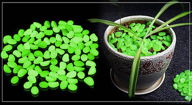 Світяться каміння, флуоресцентні гальки 100 шт, фото 3