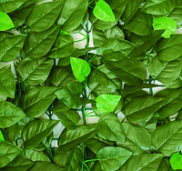 Декоративное зеленое покрытие Engard "Молодая листва" GC-03 100*300 - фото 1 - id-p71970876