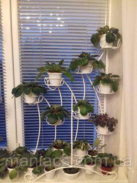 Азалія-1, підставка для квітів на 12 чаш, фото 1