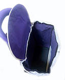 Тачка сумка з коліщатами кравчучка метал 94см MH-2079 фіолетова, фото 4