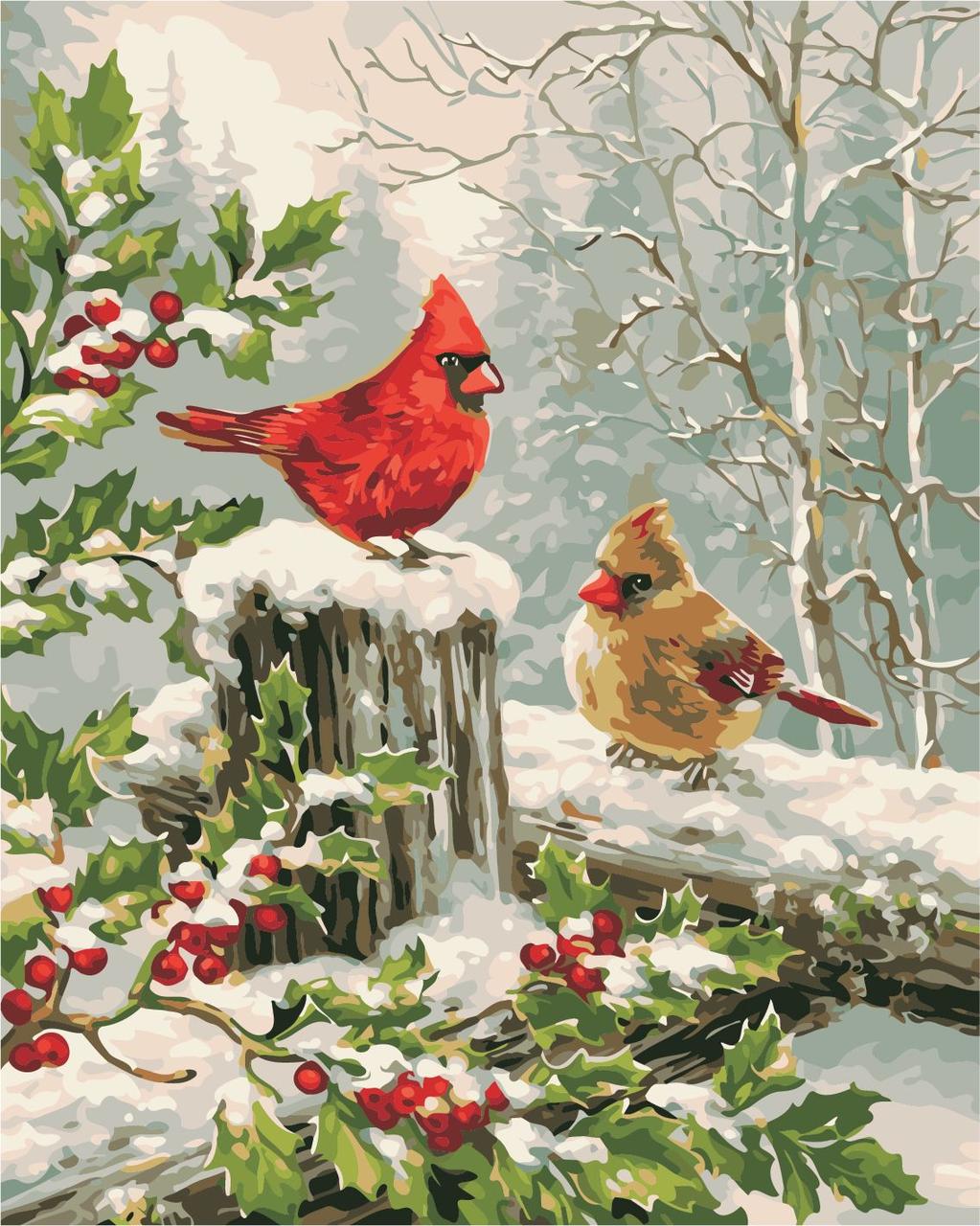 Картини за номерами Зимові пташки ArtStory AS0415 40 х 50 см, фото 1