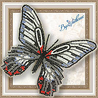 Набор для вышивки бисером. Бабочка «Парусник Румянцева»