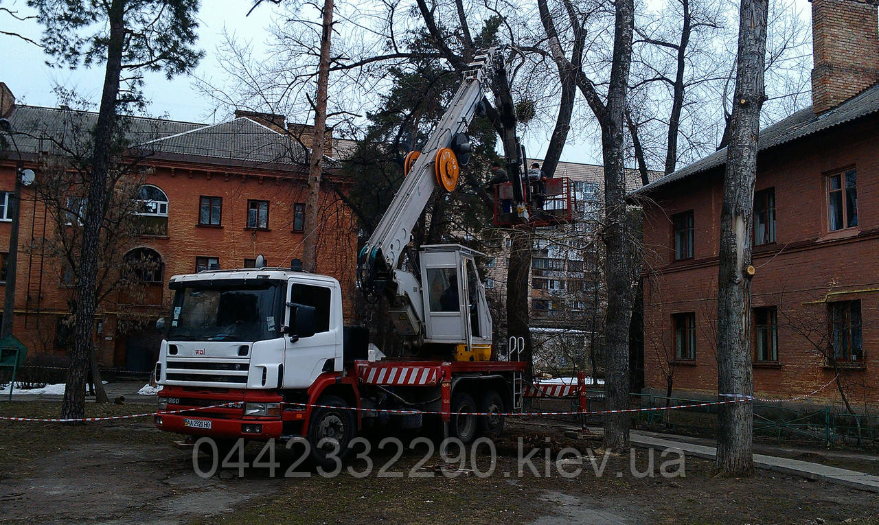 Видалення дерев з використанням автовишки