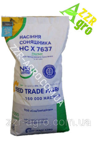 Насіння соняшника НС-Х-7637" (Сидтрейд-Агро), фото 1