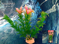 Растение "Aplant" - 10см, Е 8