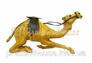 Верблюд великий, фото 1