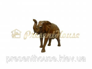 Слон суара, фото 1