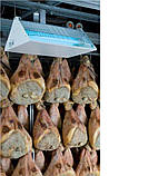 Лампа Sylvania F40W/2Ft/BL368 Т12 FEP 600mm (Німеччина) в плівці для вилову, нейтралізації комах, фотополімеризації, фото 3