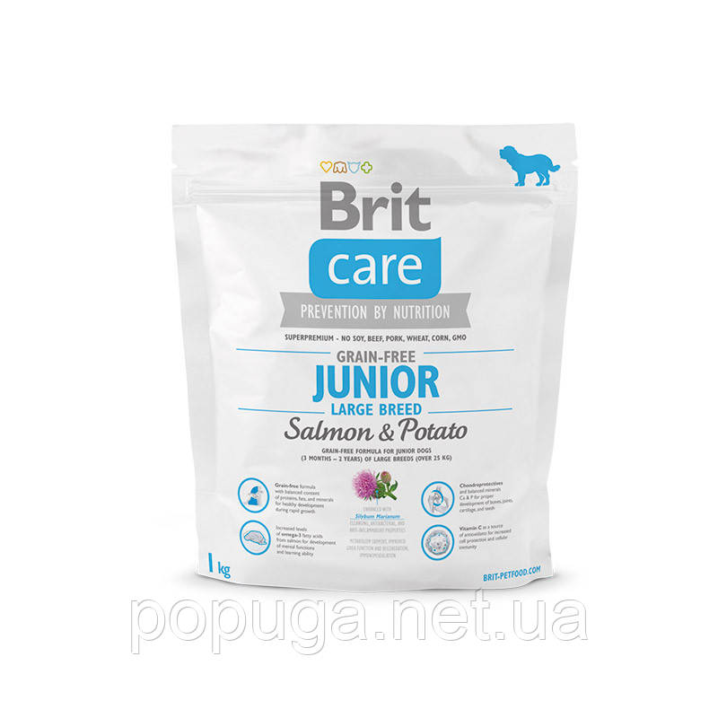 Корм Brit Care Grain Free Junior Large Breed Salmon&Potato з лососем для молодих собак великих порід, 1 кг