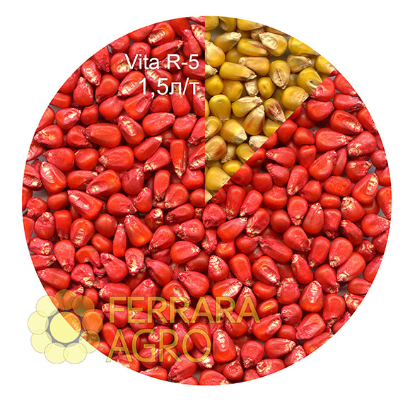 Фарба для насіння червона VITA R-5 для кукурудзи, гірчиці, сої, квасолі