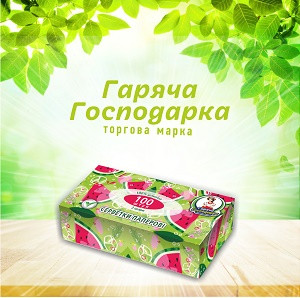 Салфетки гигиенические ТМ "Горячая Господарка" (2 слоя) в коробке 100шт 48шт. / Ящ. - фото 2 - id-p831097526