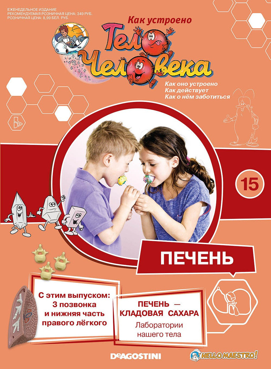 Як Влаштовано Тіло Людини (ДеАгостини) №15 Три хребця і нижня частина правої легені
