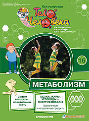 Як Влаштовано Тіло Людини (ДеАгостини) №16 Клубова кістка