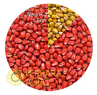 Краска для семян красная TERRA R-2, кукуруза, пшеница, соя, фасоль