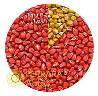 Фарба для насіння червона TERRA R-2, кукурудза, пшениця, соя, квасоля
