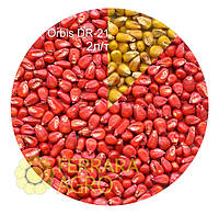 Краска для семян красная ORBIS DR-21, подсолнечник, кукуруза, рапс
