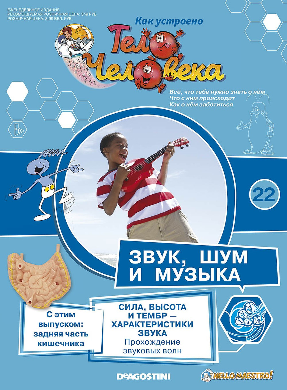 Як Влаштовано Тіло Людини (ДеАгостини) №22 Задня частина кишечника, фото 1