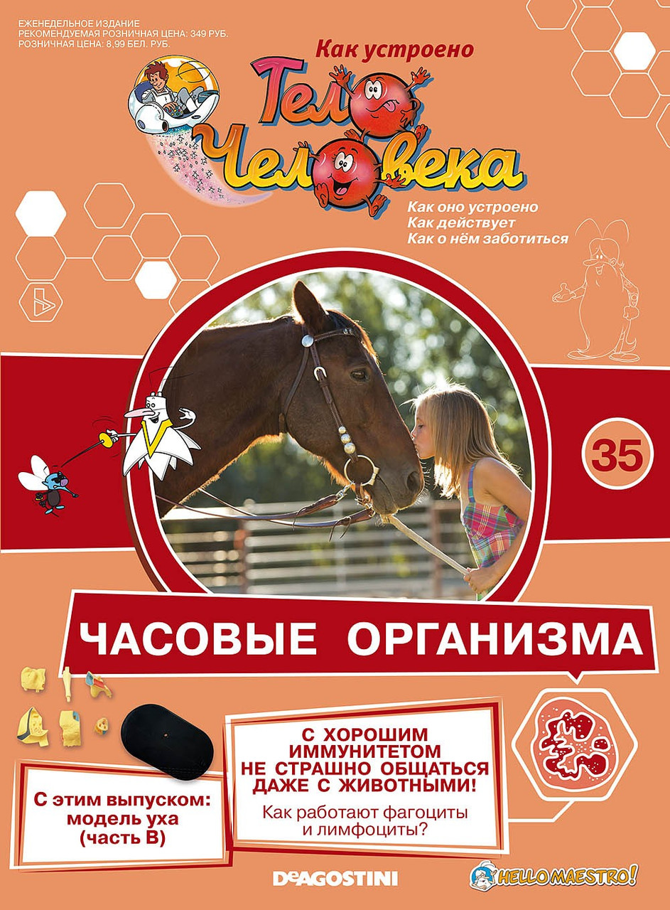 Як Влаштовано Тіло Людини (ДеАгостини) №35 Модель вуха (частина B), фото 1