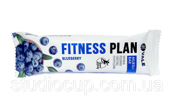 Батончик Fitnes Plan (чорниця)