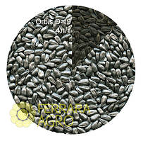 Фарба Orbis D-19 для насіння соняшника, сталева, 20 л