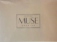 Альбом MUSE Drawing 240*178 мм, 20 аркушів, 150 г/кв. м, склейка, Школярик PB-GB-020-039