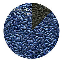 Фарба Orbis DN-22 для насіння соняшника, темно-синя, 20 л