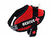 Шлея посилена Pet Nova Rescue+ S 45-55 см Червоний, фото 2