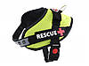 Шлея посилена Pet Dog Rescue+ XXL 80-110 см Світло-зелена, фото 2