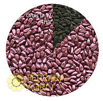 Фарба Orbis D-17 для насіння соняшника, сої, квасолі та ін., червоно-попеляста, 20 л