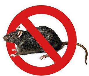 Засоби від мишей і щурів