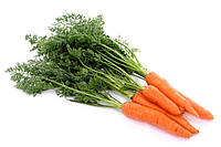 Професійні насіння Моркви